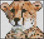 (image for) Cheetah 2
