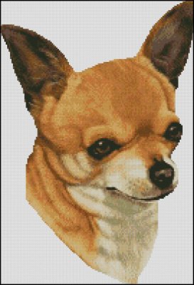 (image for) Chihuahua Head