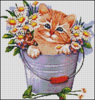 (image for) Daisies and Cat