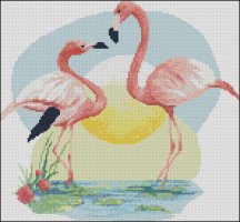 (image for) Flamingos