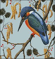 (image for) Kingfisher