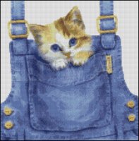 (image for) Overall Kitty