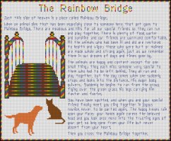 (image for) The Rainbow Bridge