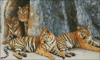 (image for) Tiger Family - Extra Large