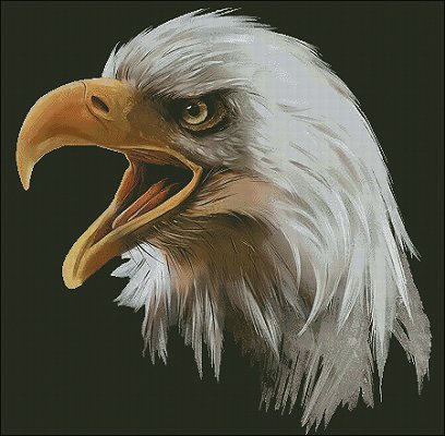 (image for) Bald Eagle Head - Large - Click Image to Close