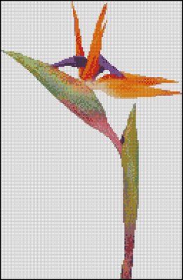 (image for) Bird of Paradise - Click Image to Close