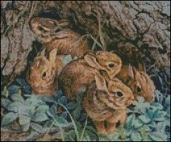 A herd of Rabbits