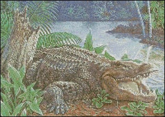 (image for) Alligator