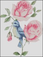 Bluebird and Rose