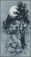 Cottage in Moonlight