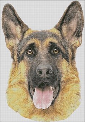 (image for) German Shepherd Head 2