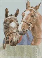 (image for) Horses & Donkeys