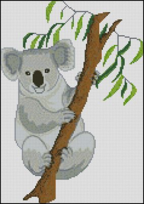 (image for) Koala