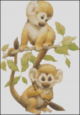 (image for) Little Monkeys