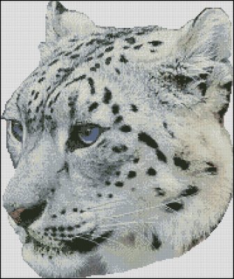 (image for) Snow Leopard Head - Medium Large