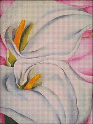 (image for) Two Calla Lilies - Large